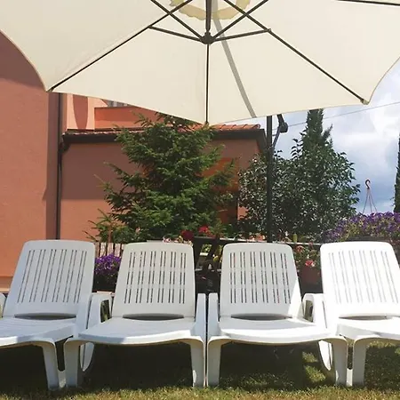 Stela Apartament *